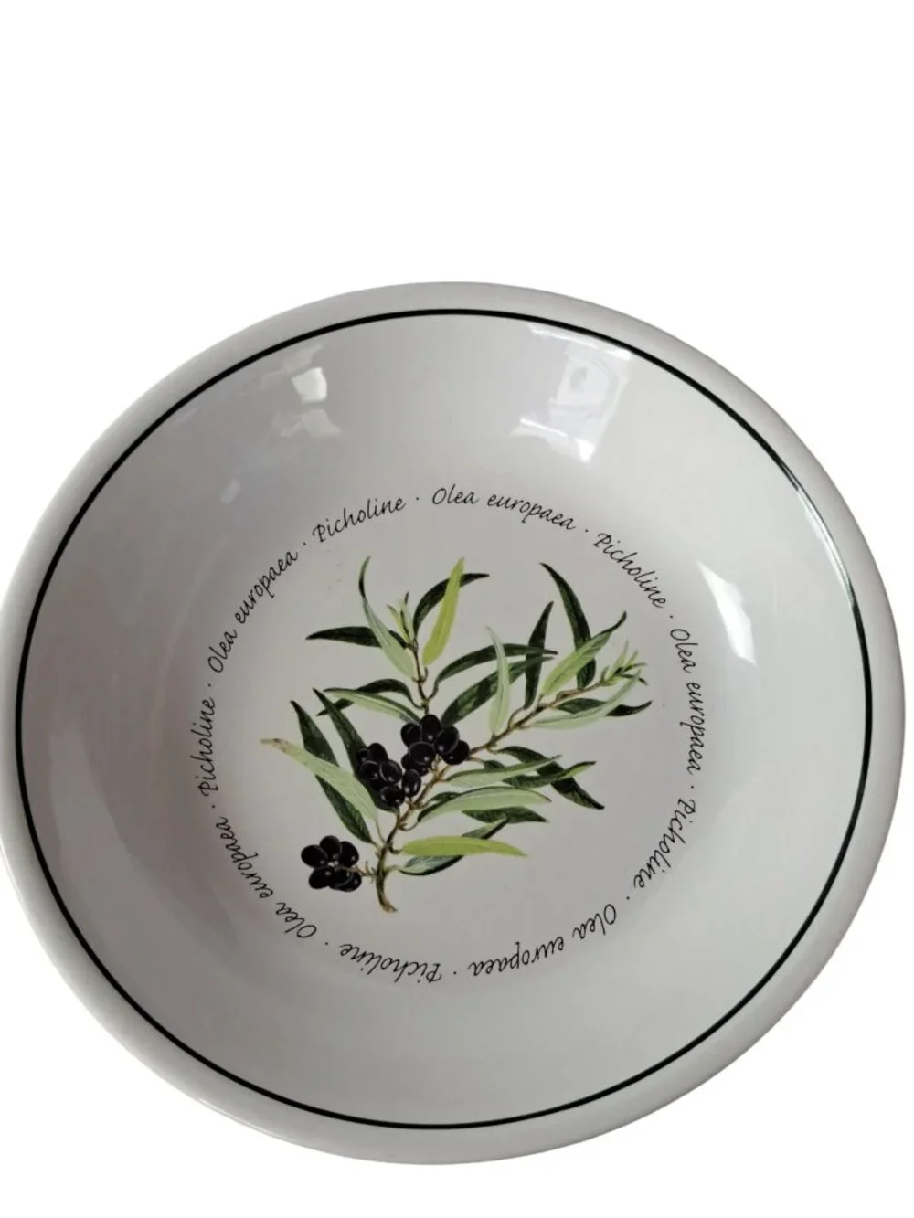 Williams Sonoma Olives Olea Europaea Picholine 9 1/2